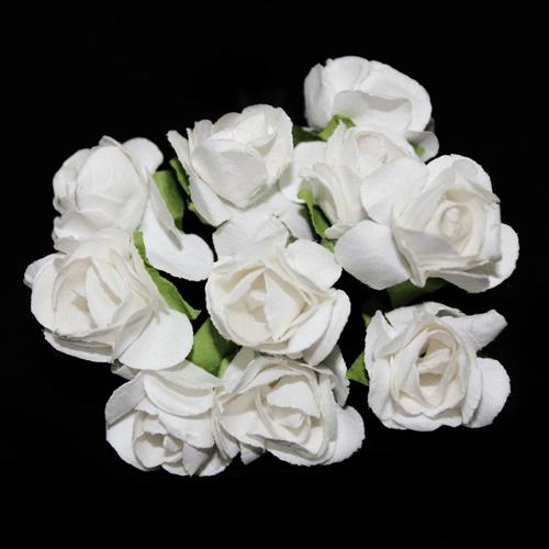 92582 Flower Rose Small White