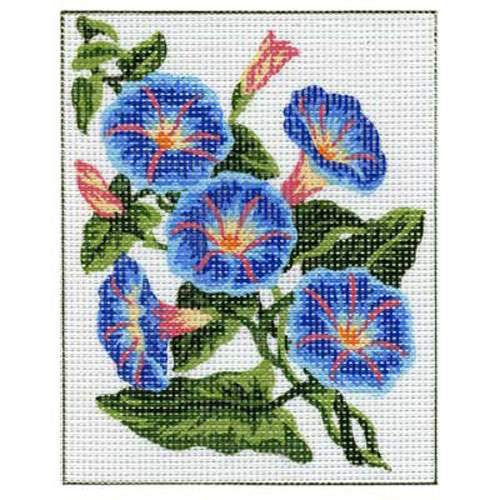 92937 Tapestry Morning Glory