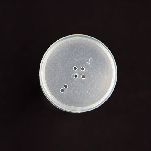 08654 Sullivans Empty 40mm Button Tubes With Cap 