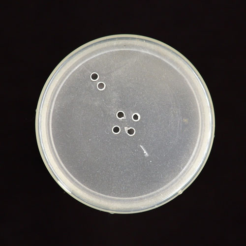 08656 Sullivans Empty 45mm Button Tubes With Cap 