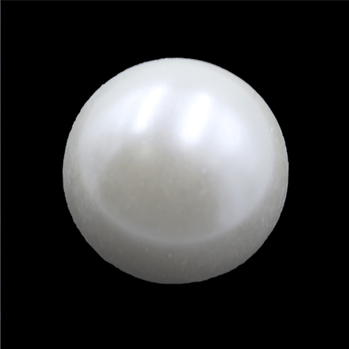 19058 Sullivans 14mm Pearl Plastic Button With Large Shank - 59 In A Tube