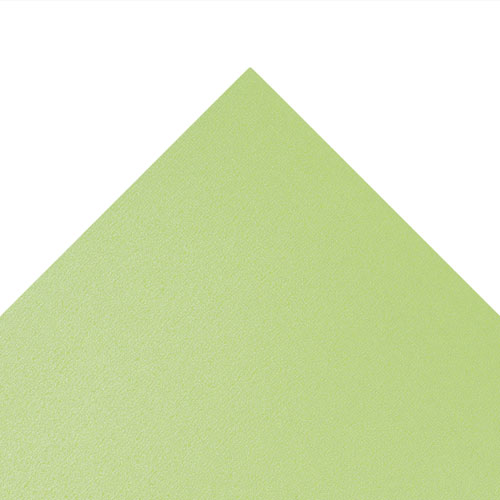 46813 Sullivans 12"x12" Cardstock - Pearl Lorikeet