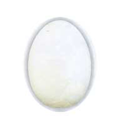 49951 Decofoam Egg 70mm