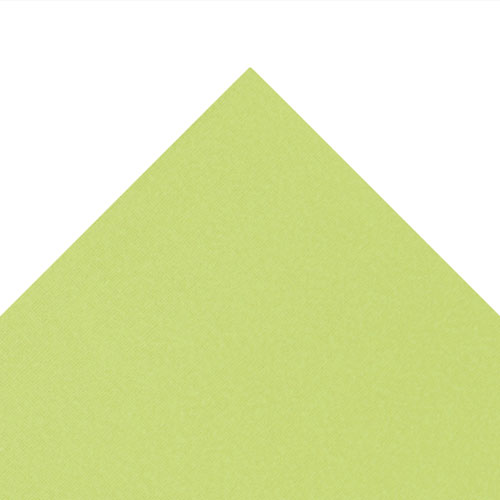 49972 Sullivans 12"x12" Cardstock - Tarragon