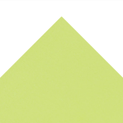 49973 Sullivans 12"x12" Cardstock - Avocado