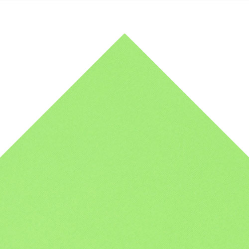 49974 Sullivans 12"x12" Cardstock - Lorikeet