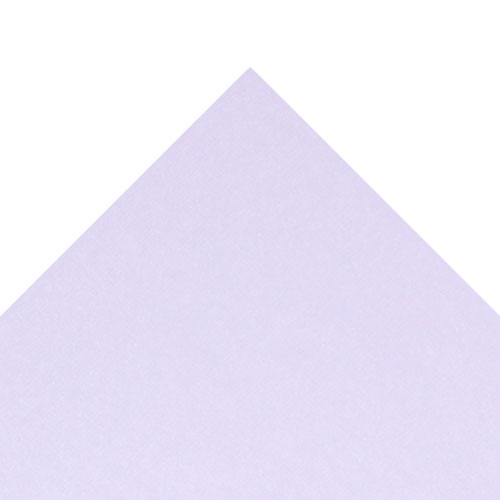 49978 Sullivans 12"x12" Cardstock - Orchid