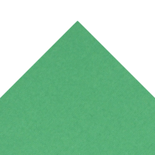 49981 Sullivans 12"x12" Cardstock - Juniper