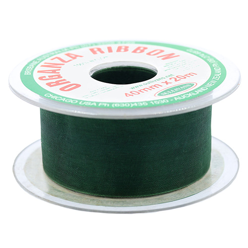 58486 Ribbon Organza 40mm Green