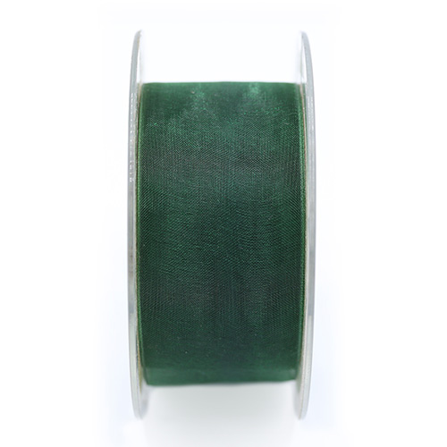 58486 Ribbon Organza 40mm Green